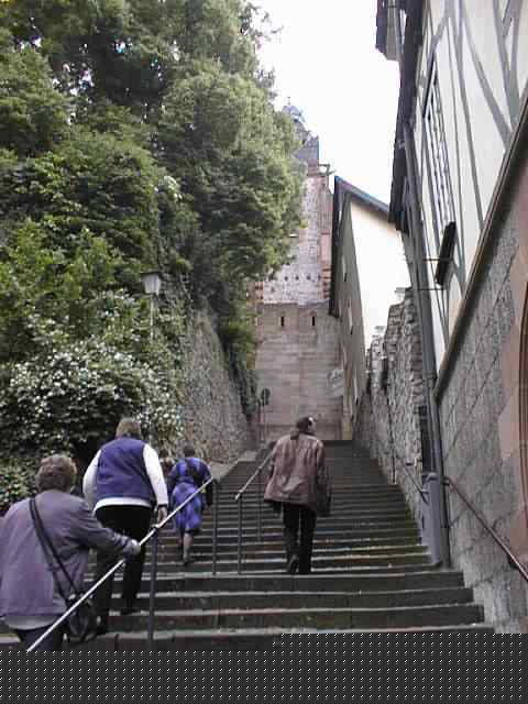 Bild 3 von 37  -  35 kB